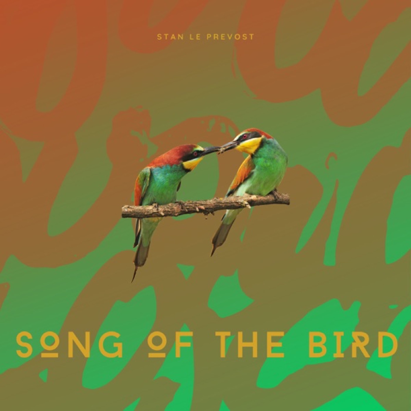 Song of the Bird